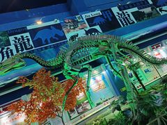 -诸城市恐龙博物馆