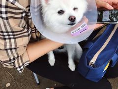 -顺鑫绿色度假村