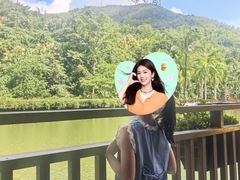 -西双版纳原始森林公园