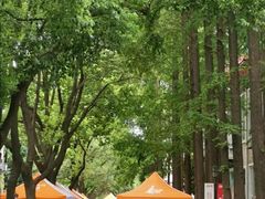 -上海财经大学(国定路校区)