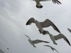 -海驴岛(荣成市)