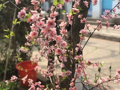 -姥家大锅台水库渔家