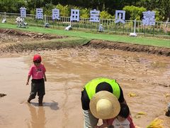 -中国农业博物馆