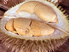 -槟城宝盛园民宿