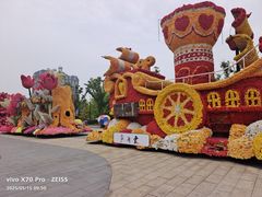 -荷兰花海
