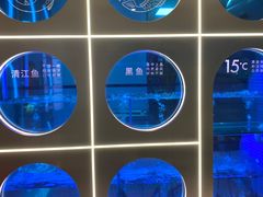 -鱼酷活鱼烤鱼(恒隆广场店)