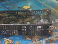 -鑫渔港海鲜本地菜·山海关浑锅(东戴河店)