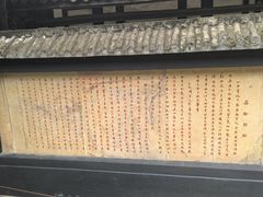 -燊海井
