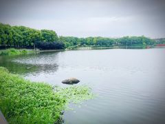 -美兰湖景区