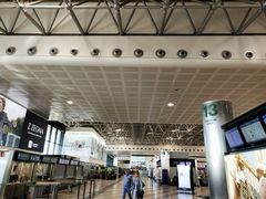 -米兰马尔彭萨国际机场