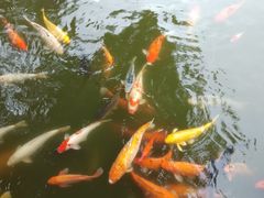 -珠海圆明新园