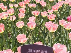 -国家植物园