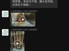 -爱妮康宠物医院·干细胞免疫细胞·肿瘤·心脏(张江店)