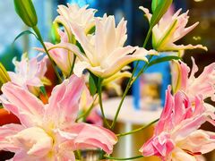 -德米火锅(深圳湾1号旗舰店)