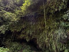 -海口火山口国家地质公园