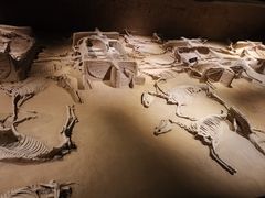 -洛阳周王城天子驾六博物馆