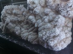 -湖南省地质博物馆