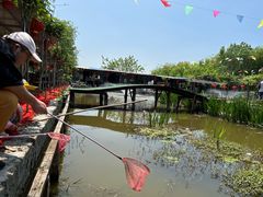 -同銮特种养殖场·龙虾垂钓