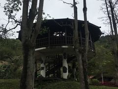 -瑞穗牧场