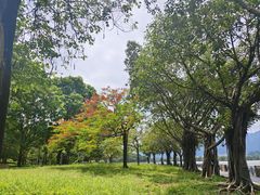 -星湖旅游景区七星岩