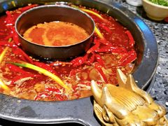 -蜀大侠火锅(建设路第五大道店)