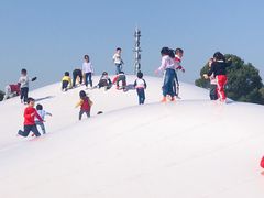-上海月湖雕塑公园