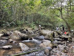 -象头山国家级自然保护区