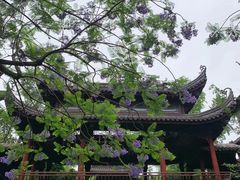 -龙潭水乡
