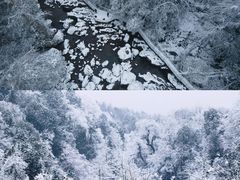 -龙苍沟森林公园