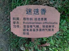-新江湾城公园
