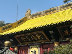 -普陀山慧济禅寺