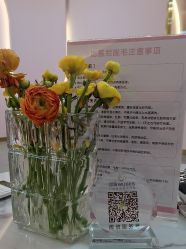 -MUSES专业脱毛比基尼サロン日式连锁