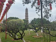 -广州莲花山旅游区