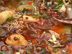 -芙蓉树下冒菜·麻辣烫(农院店)