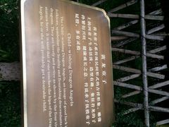 android_upload_pic-杭州黄龙洞