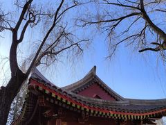 -元大都城垣遗址公园