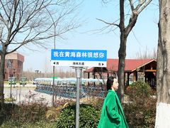 -黄海国家森林公园