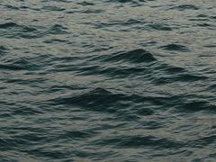 -演武大桥观景平台