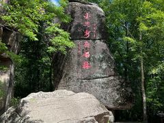 -汤旺河林海奇石景区