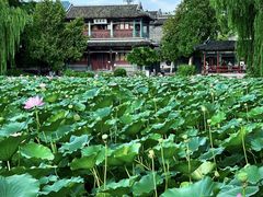 -莲池书院博物馆