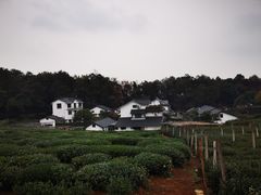 -中国茶叶博物馆(双峰馆区)