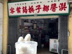 -洪馨椰子