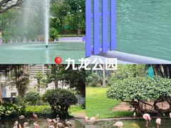 -九龙公园