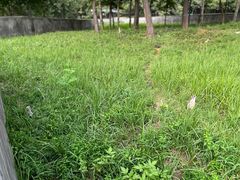 -合肥野生动物园
