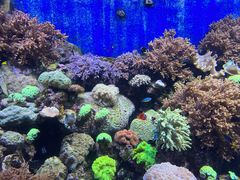 -珠海长隆海洋王国