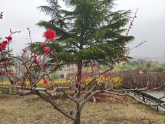 -中国海洋大学（崂山校区）-游泳馆
