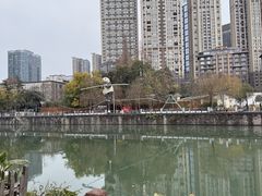 -成都市活水公园