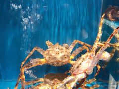 -蟹田居·活蟹料理(东城店)