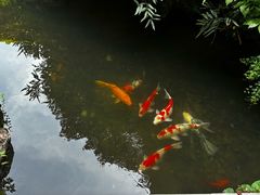 -中国茶叶博物馆(双峰馆区)