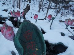 -香炉山国家森林公园
